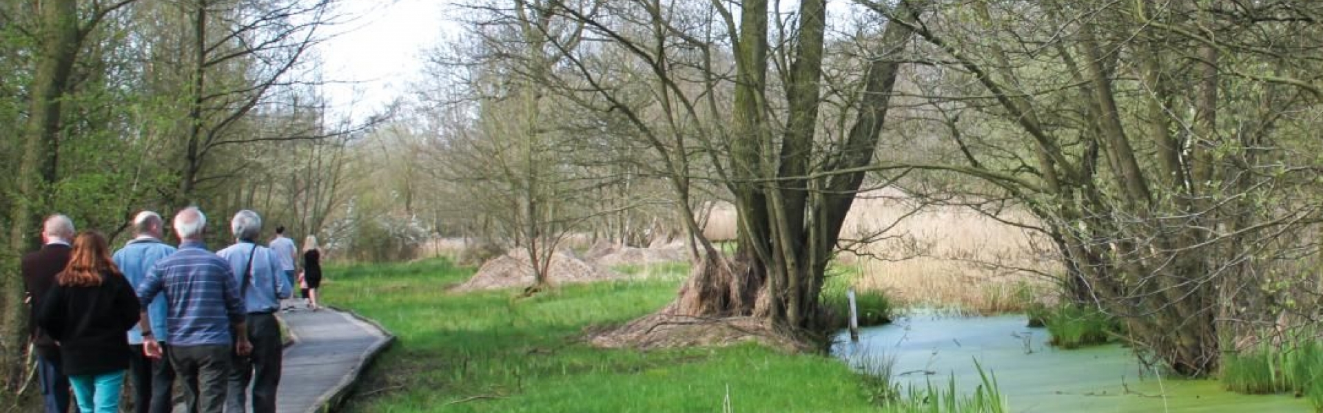 Askham Bog