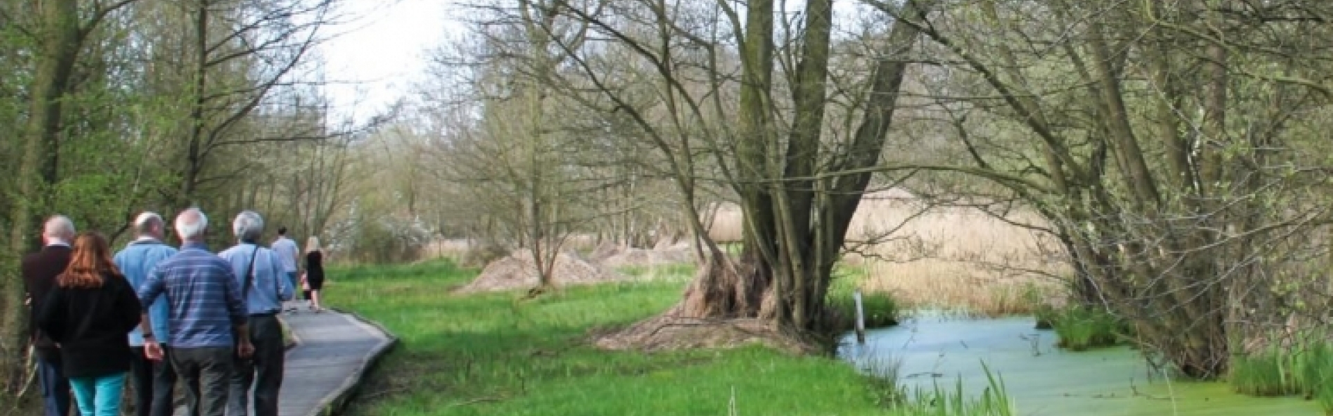 Askham Bog