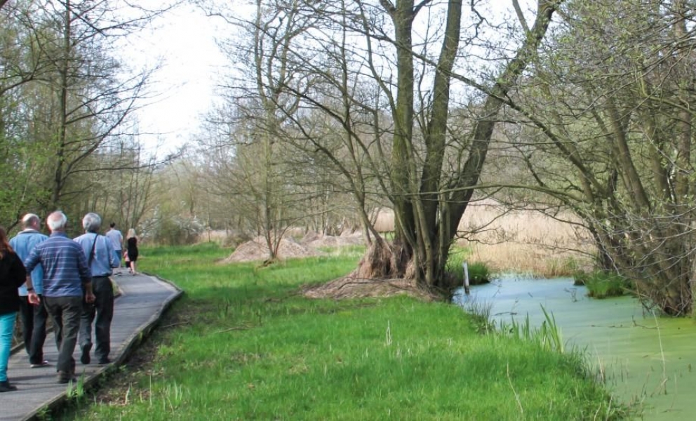 Askham Bog