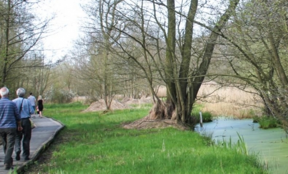 Askham Bog