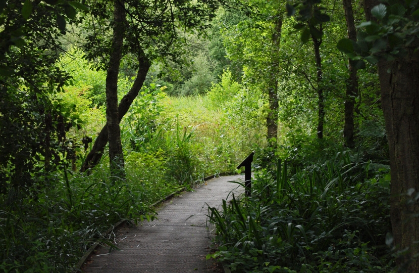 Askham Bog