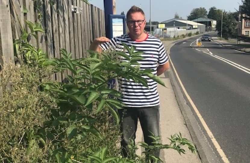 Paul Doughty with Overgrown Weeds on Leeman Road