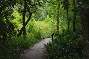 Askham Bog